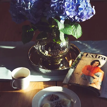 Seausasino - Luksusowe Drewniane Z Kominkami Nyaraló Sasino