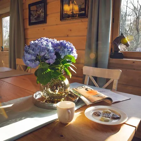 Seausasino - Luksusowe Drewniane Z Kominkami