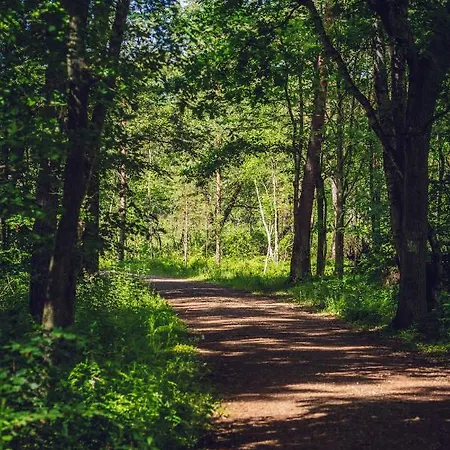 Nyaraló Seausasino - Luksusowe Drewniane Z Kominkami