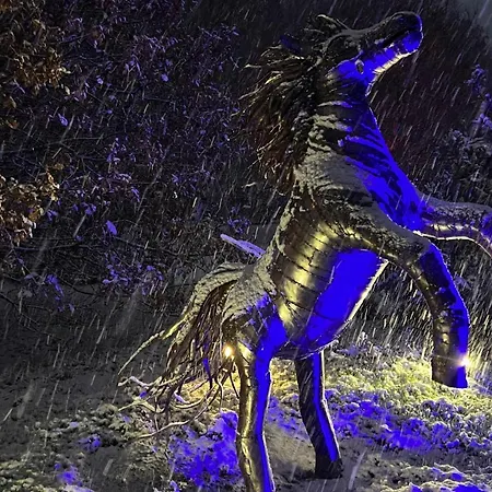 Nyaraló Seausasino - Luksusowe Drewniane Z Kominkami *