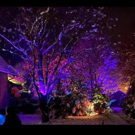 Nyaraló Seausasino - Luksusowe Drewniane Z Kominkami *