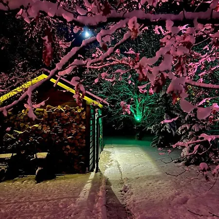 Seausasino - Luksusowe Drewniane Z Kominkami