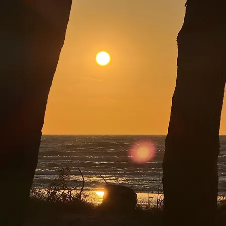 Seausasino - Luksusowe Drewniane Z Kominkami Sasino