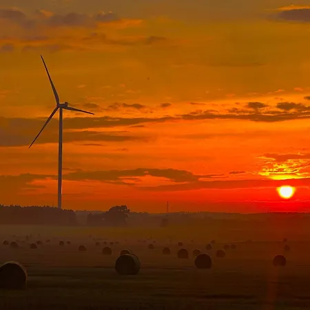 Seausasino - Luksusowe Drewniane Z Kominkami Nyaraló Sasino
