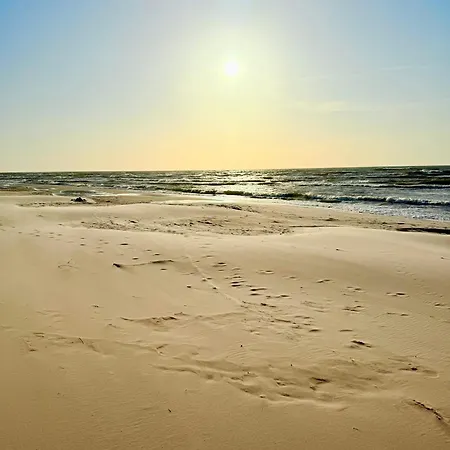 Feriehus Seausasino - Luksusowe Drewniane Z Kominkami