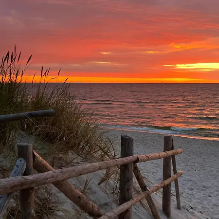 Seausasino - Luksusowe Drewniane Z Kominkami * Sasino