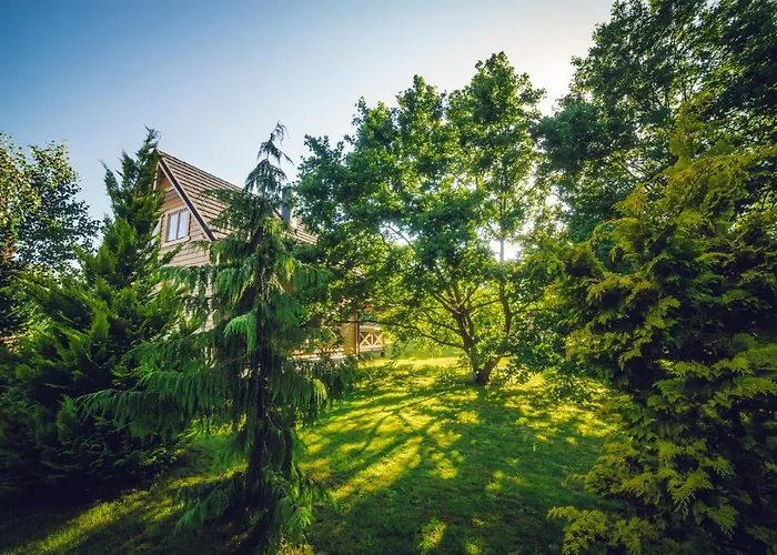 Ferienhaus Seausasino - Luksusowe Drewniane Z Kominkami Sasino
