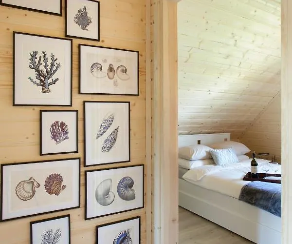 Ferienhaus Seausasino - Luksusowe Drewniane Z Kominkami Sasino