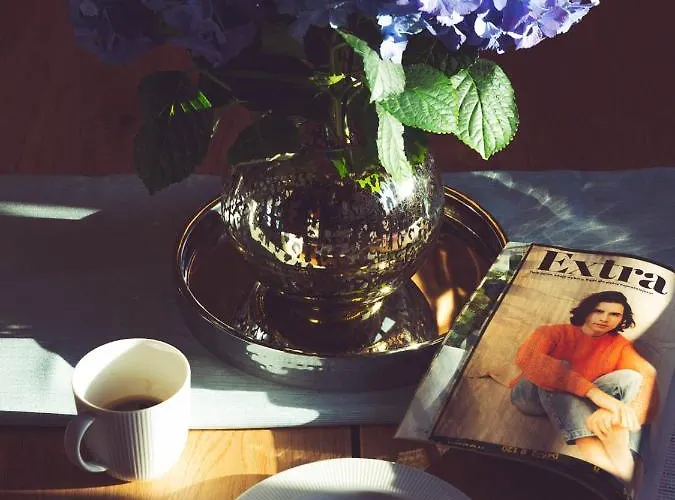 Seausasino - Luksusowe Drewniane Z Kominkami Ferienhaus Sasino