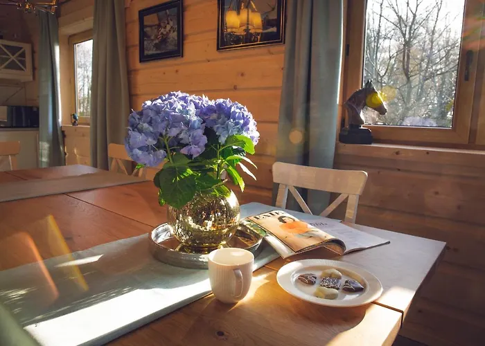 Seausasino - Luksusowe Drewniane Z Kominkami