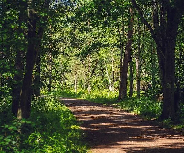 度假居 Seausasino - Luksusowe Drewniane Z Kominkami