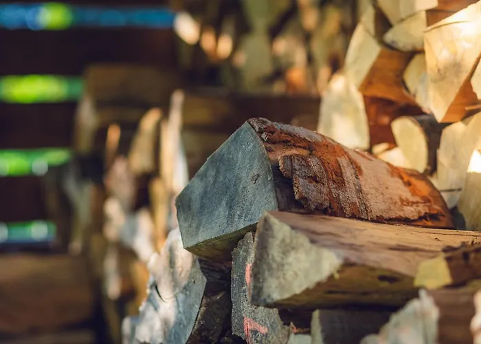 Seausasino - Luksusowe Drewniane Z Kominkami Дом отдыха Сашино