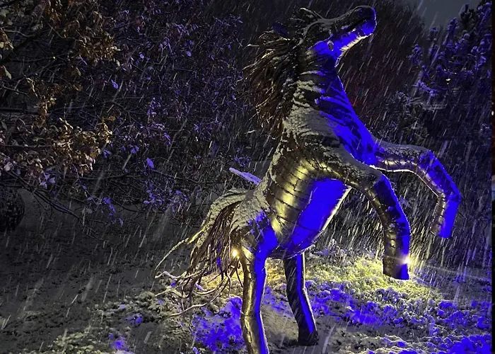 Ferienhaus Seausasino - Luksusowe Drewniane Z Kominkami *