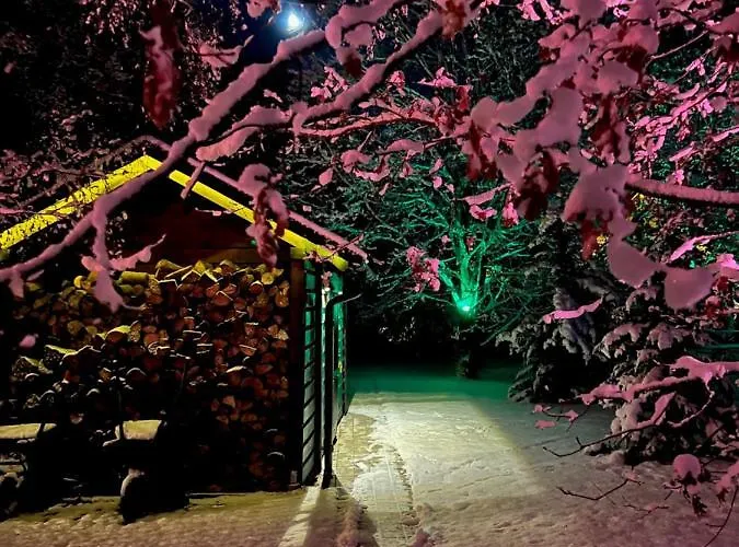 Seausasino - Luksusowe Drewniane Z Kominkami