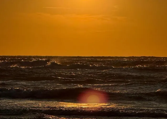 Seausasino - Luksusowe Drewniane Z Kominkami * Sasino