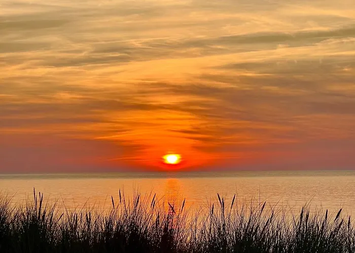Ferienhaus Seausasino - Luksusowe Drewniane Z Kominkami Sasino