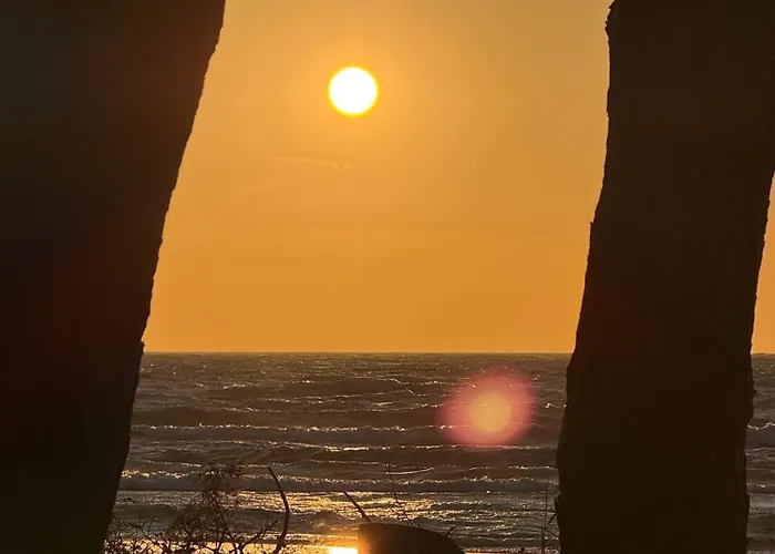 Seausasino - Luksusowe Drewniane Z Kominkami 萨希诺