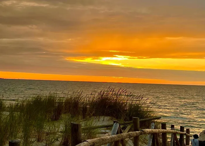 Seausasino - Luksusowe Drewniane Z Kominkami 度假居 *