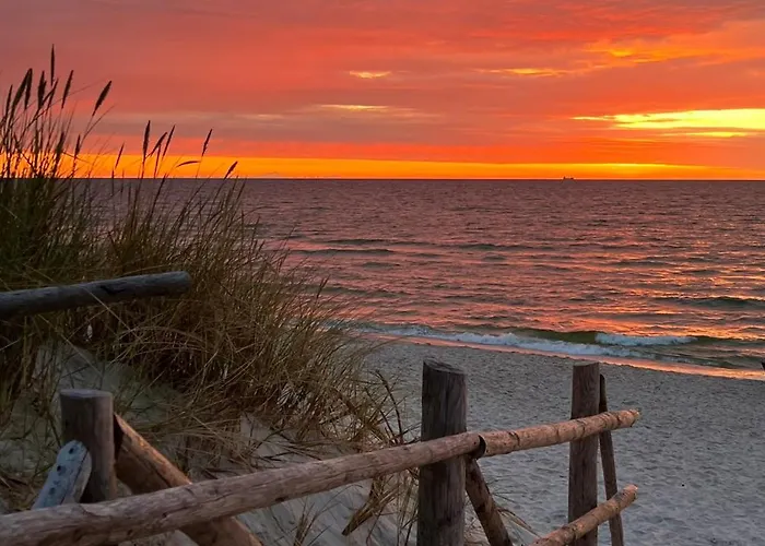 Seausasino - Luksusowe Drewniane Z Kominkami * Sasino